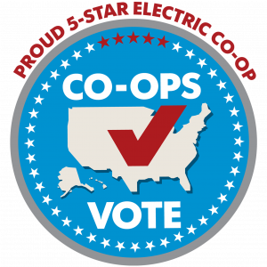 Co-ops Vote